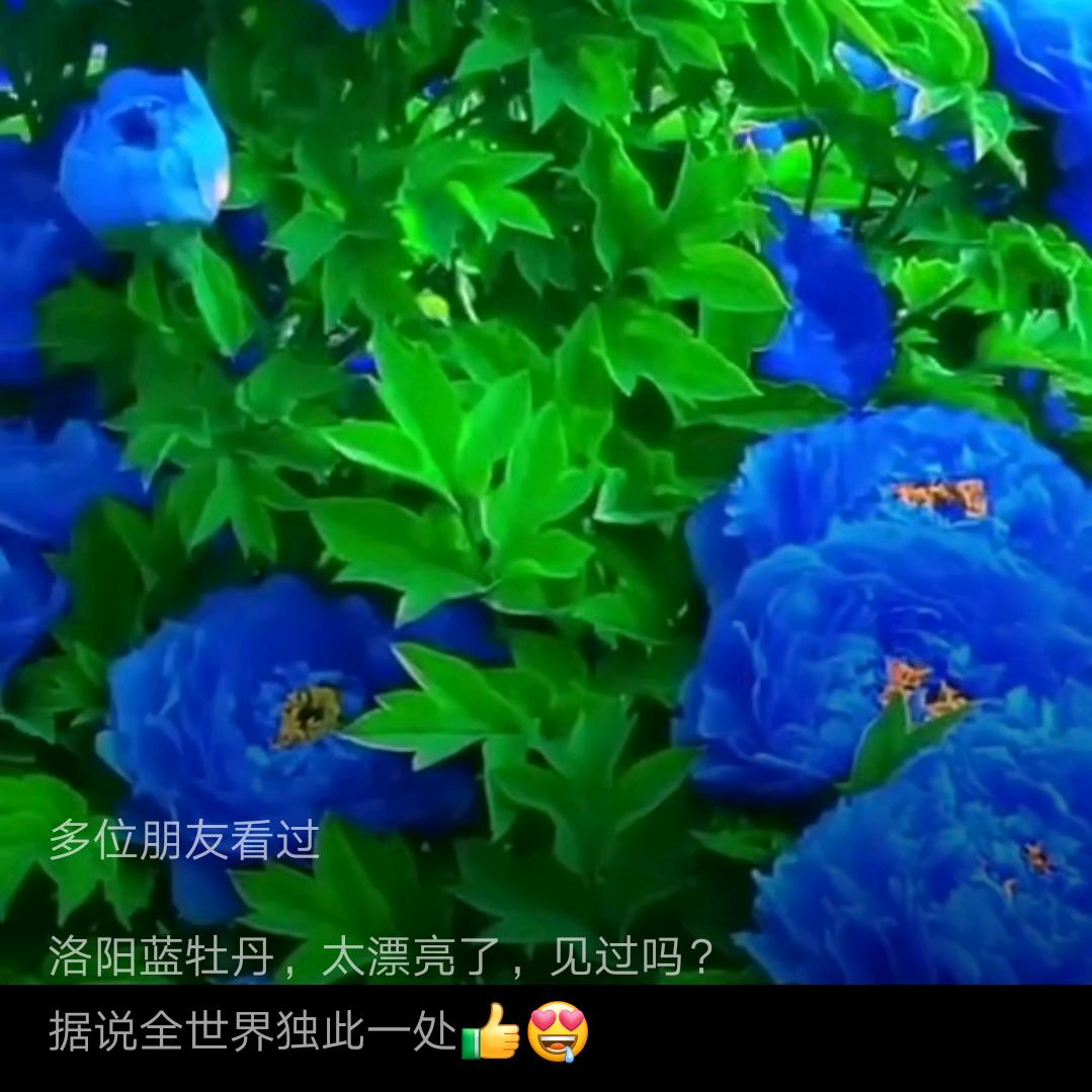 平平淡淡