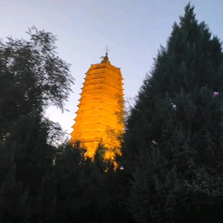 阳光明媚