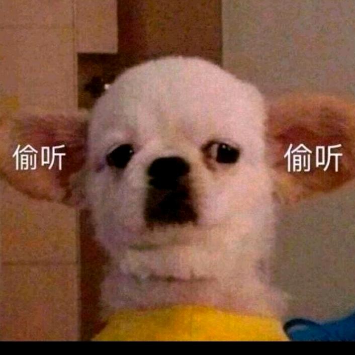 杨秀娇文化传媒公司