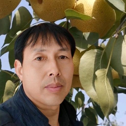 自酿良果