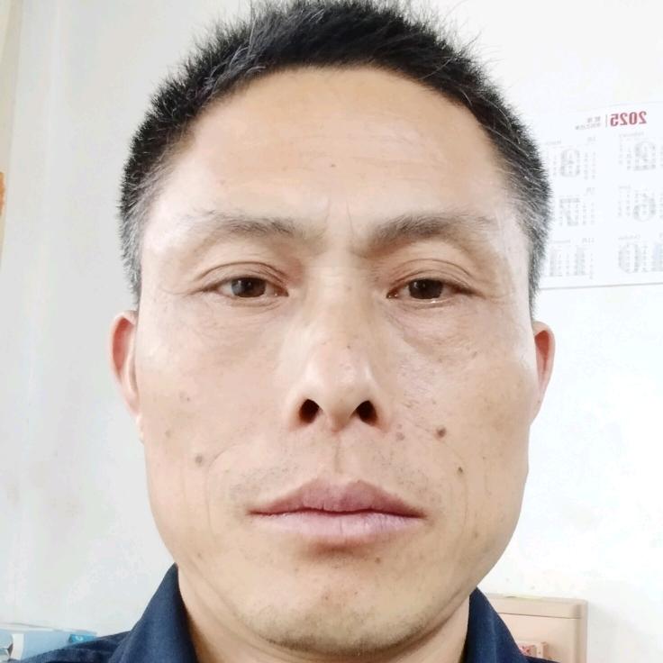 蔡蔡