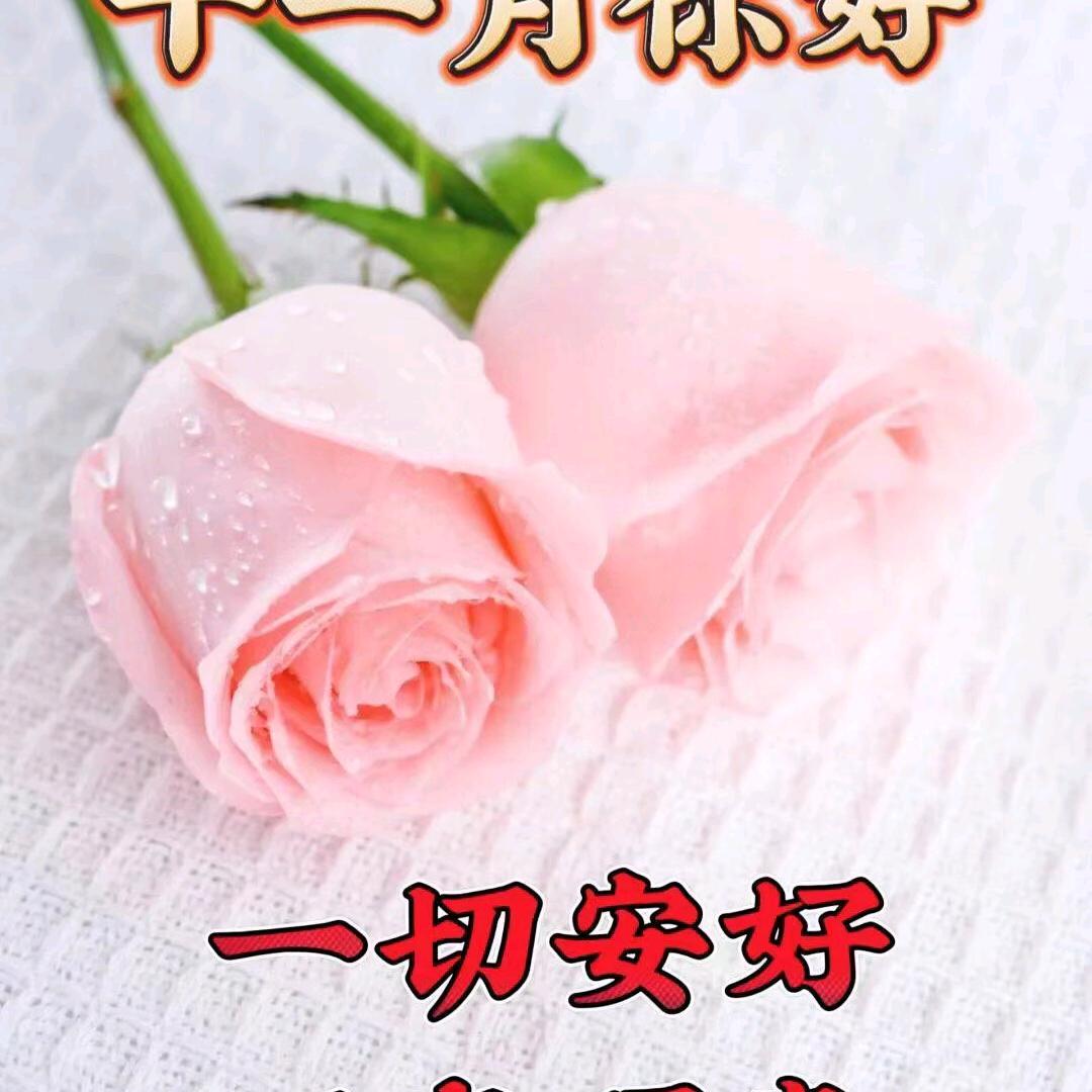 汐汐分享