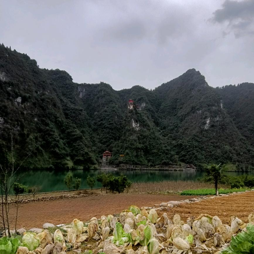 户外丨