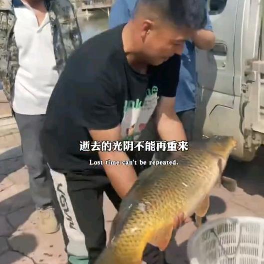 尚禾源钓场