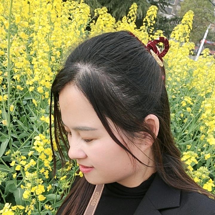 君姐🌹爱缅因—橱窗有好物