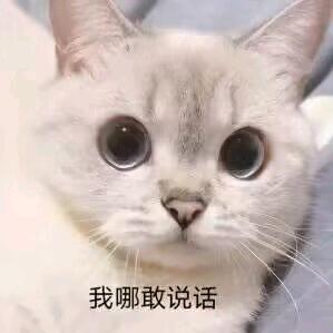 -（牛马）
