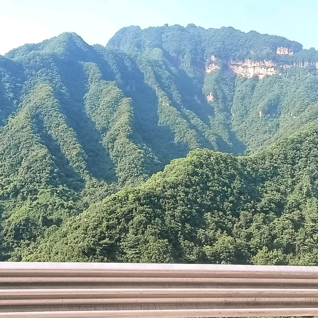 成妮