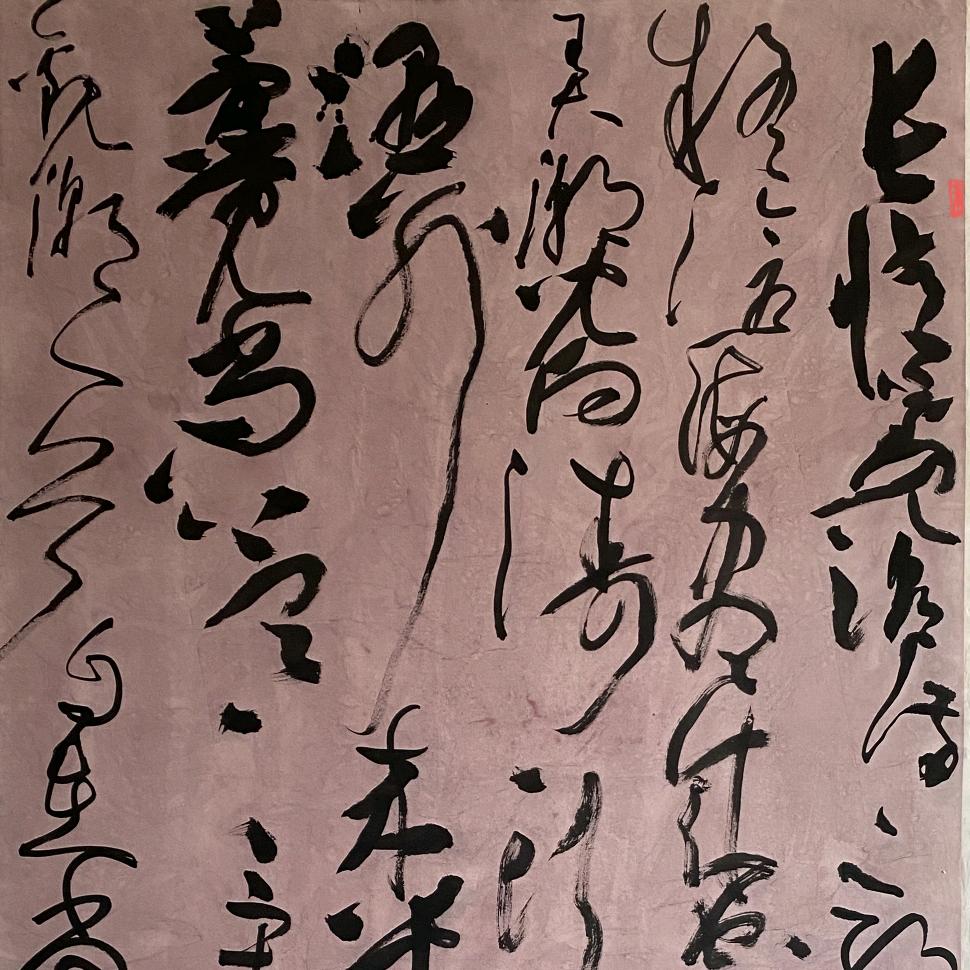 劉新星書法