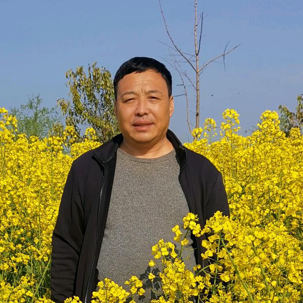 丁毒豆（独角莲）