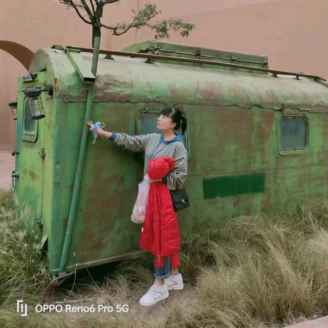 玫瑰花开