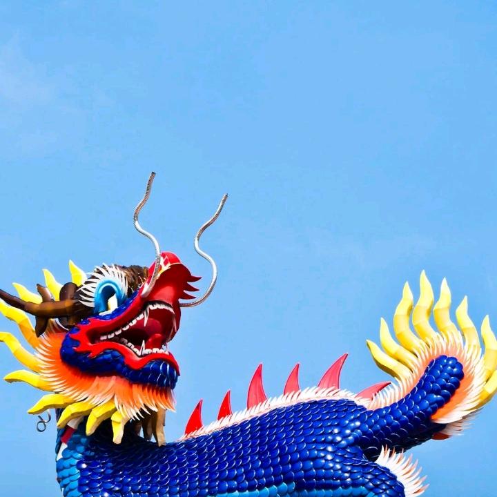 放你去快乐