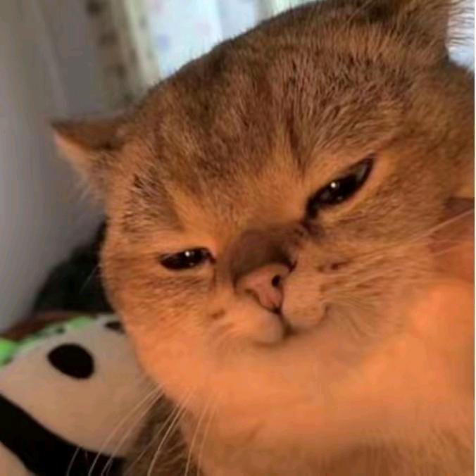 张光光
