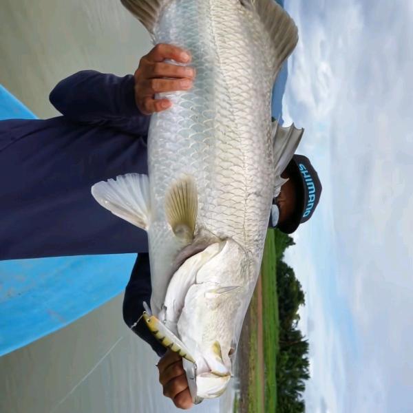 可可爱钓鱼🎣