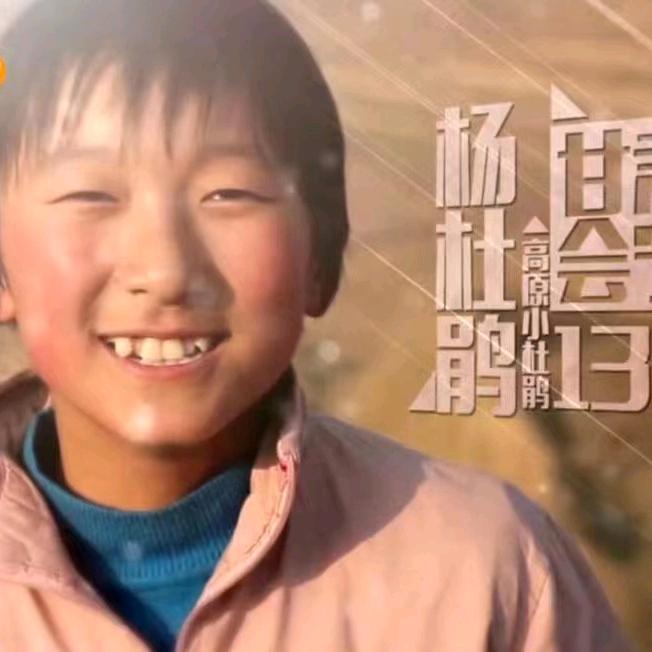 变形计杨杜娟