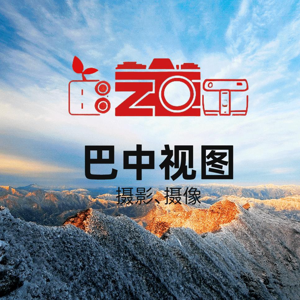 巴中视图文化