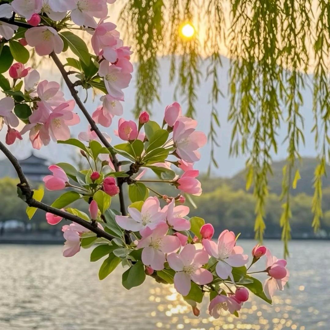 @静心
