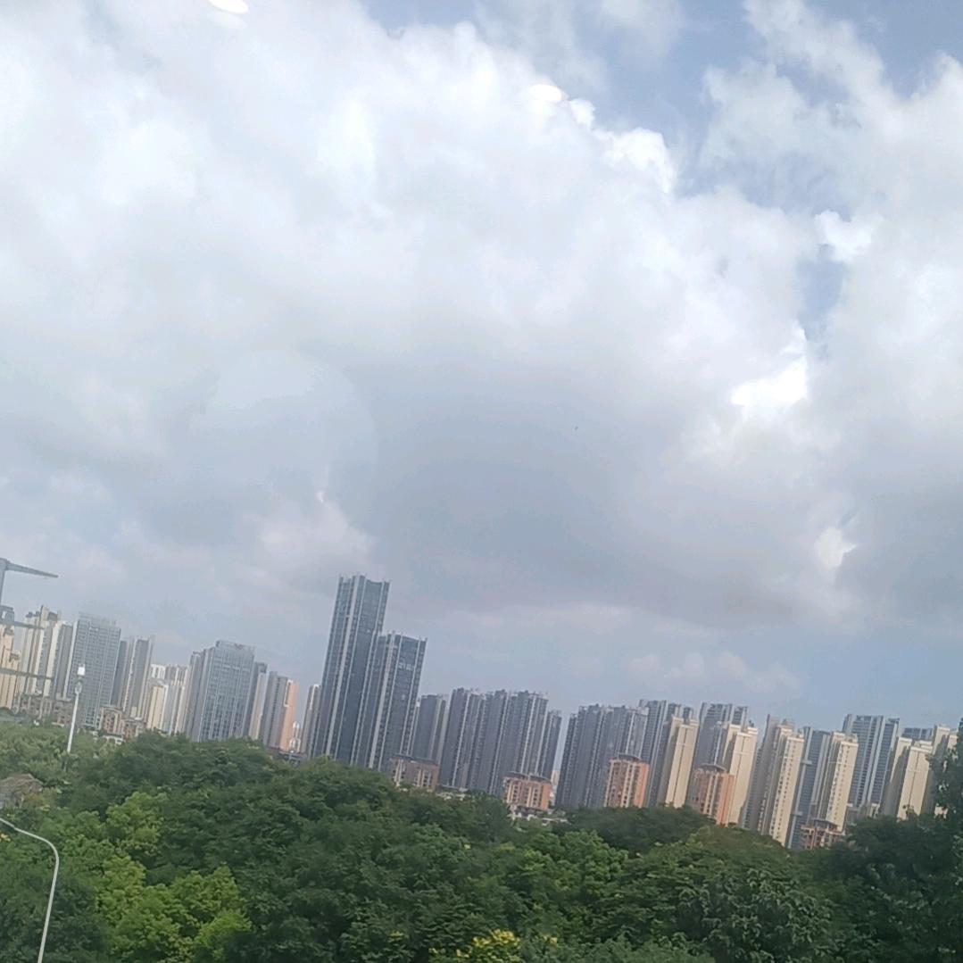 专业胶批发