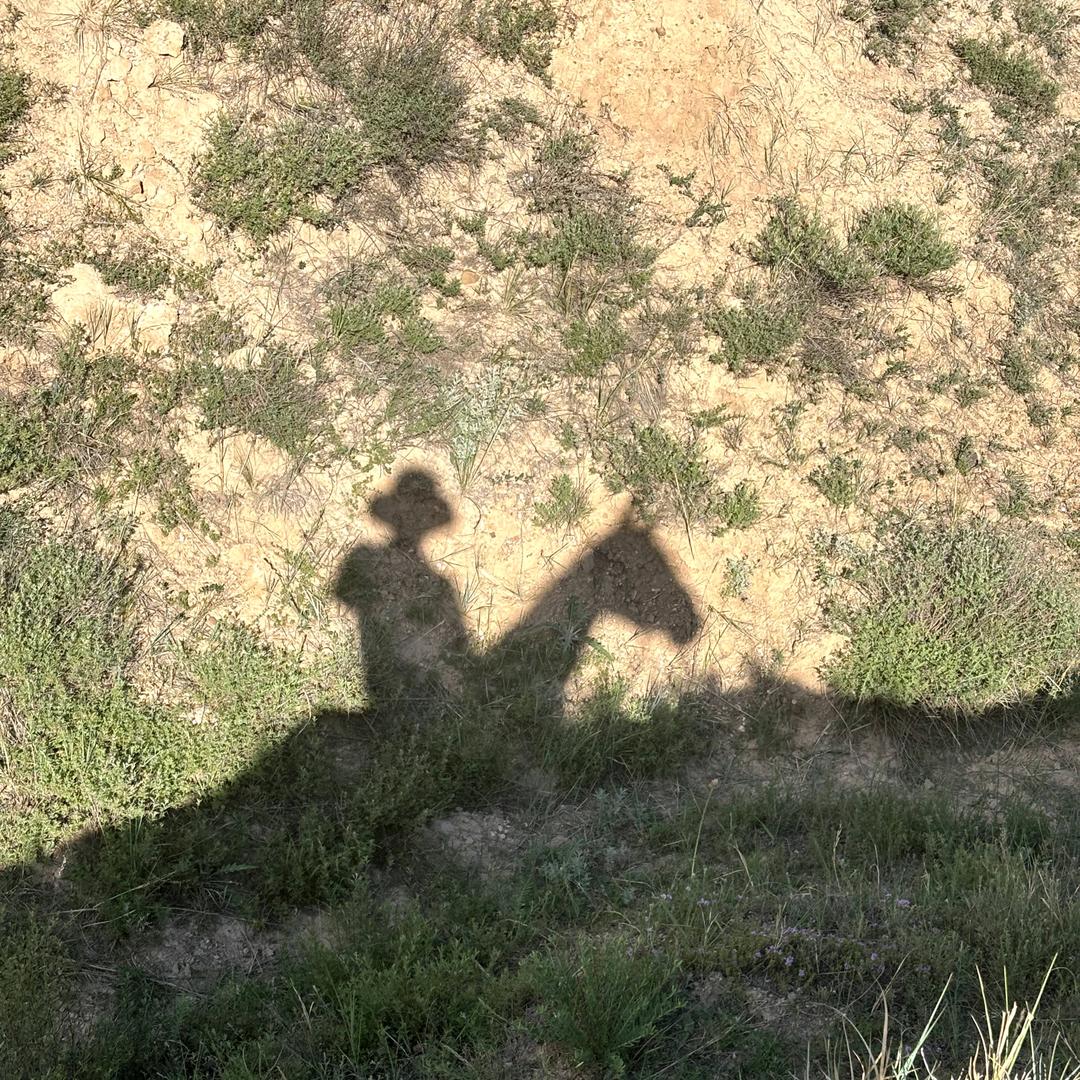 漫步人生路。