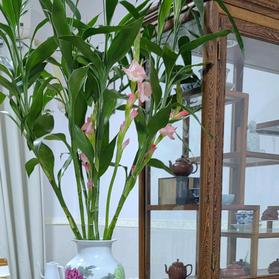花不完