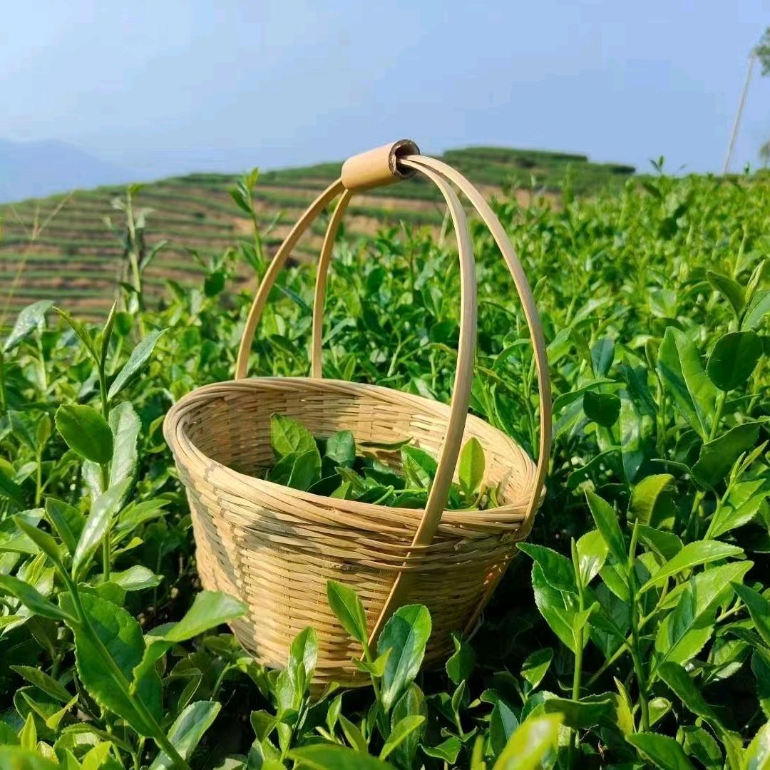 惠安茶小月