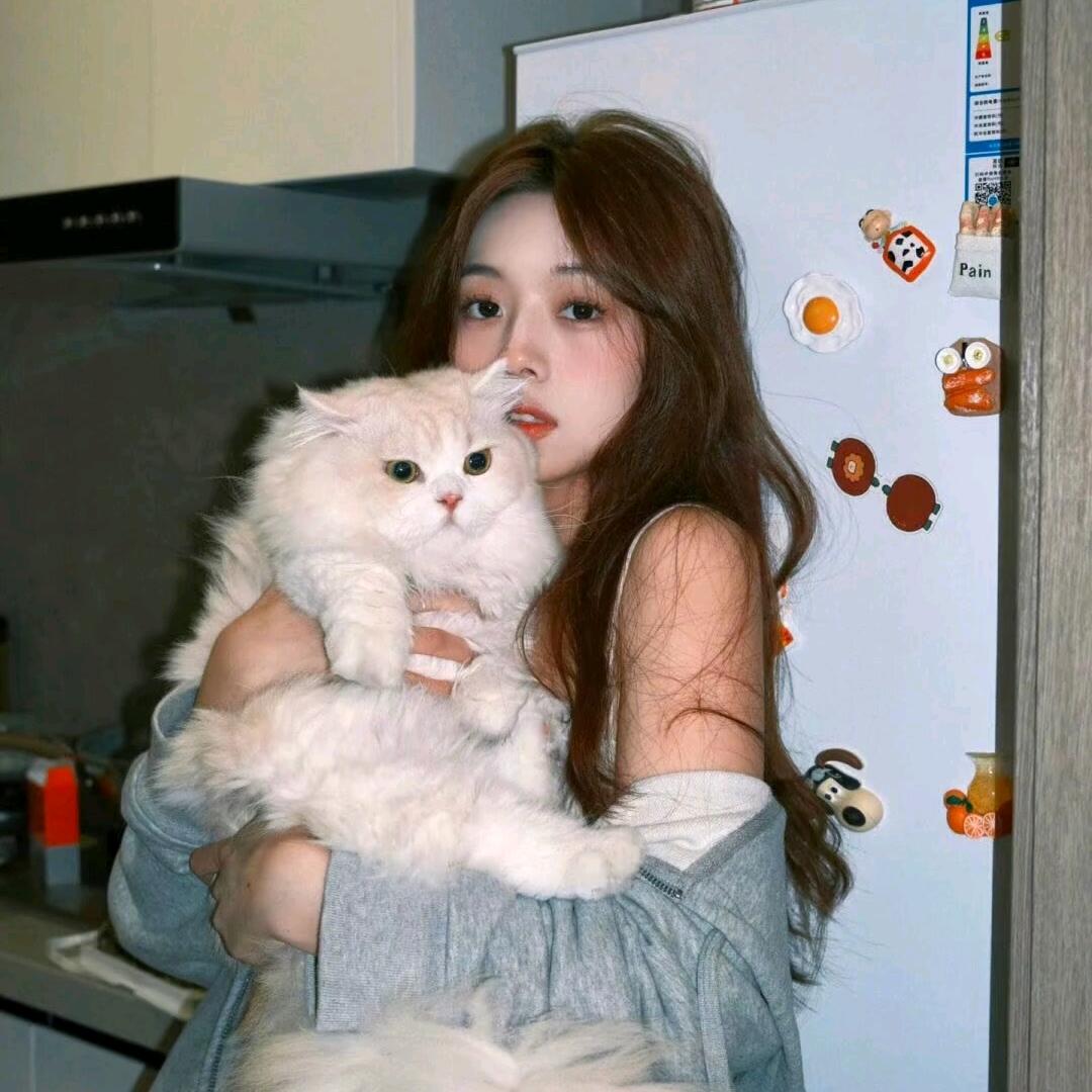 电子旺财猫