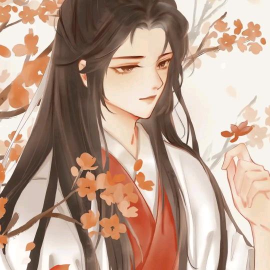 菲菲