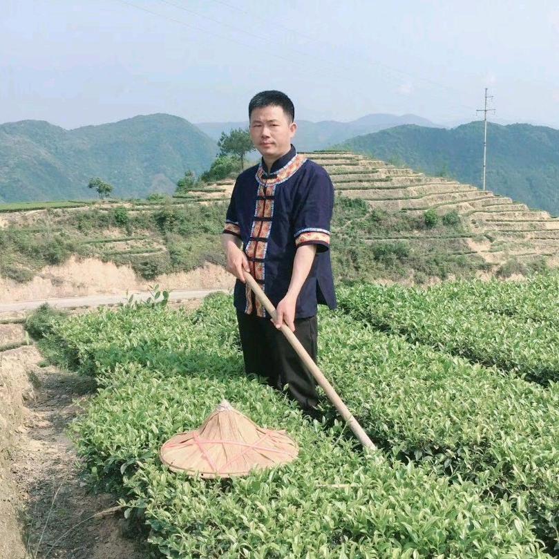 爱茶人兵哥