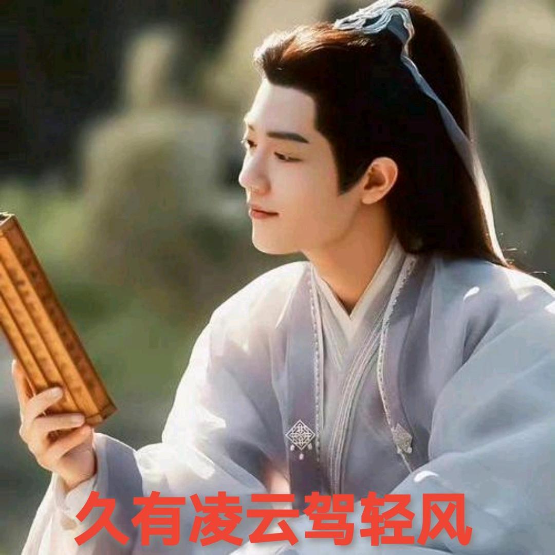 久有凌云驾轻风
