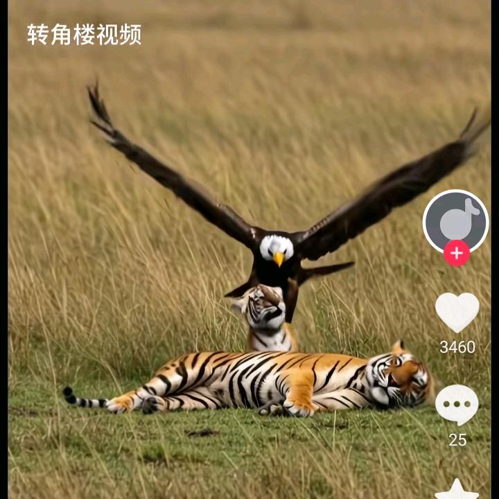 32号上班