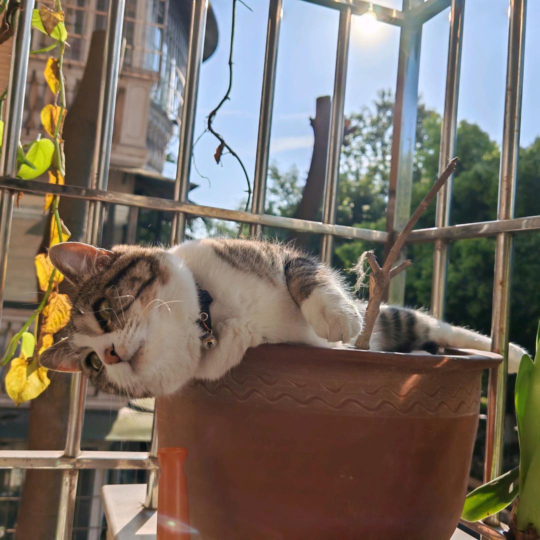 犹记手生疏QA