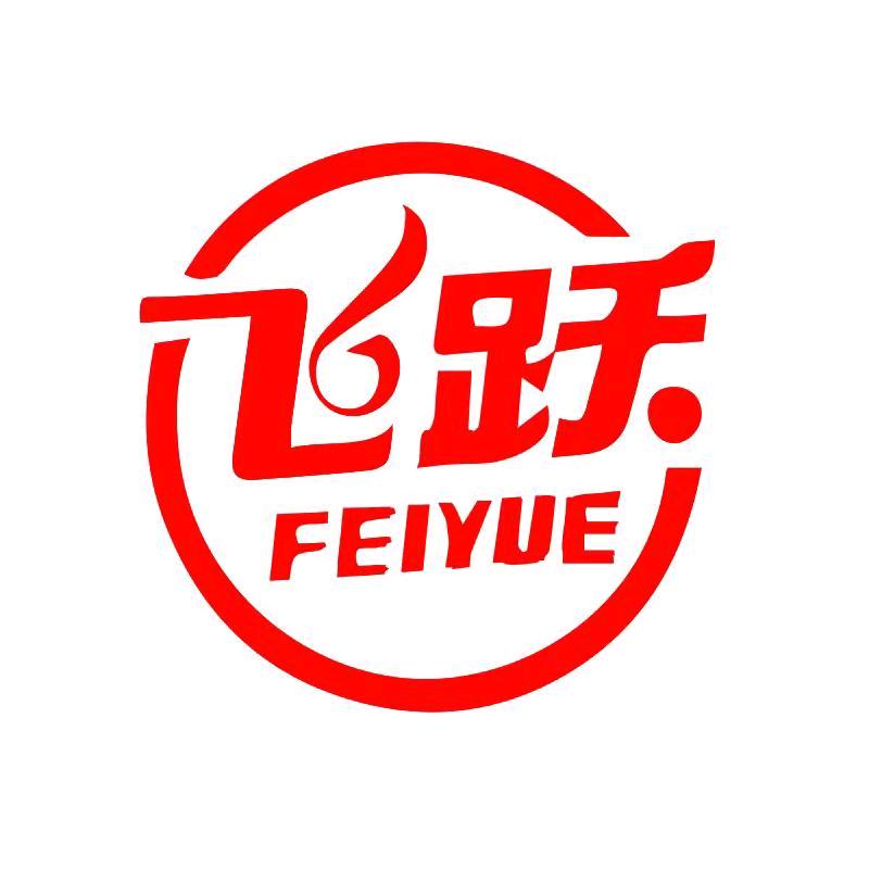 飞跃旗舰店鞋类