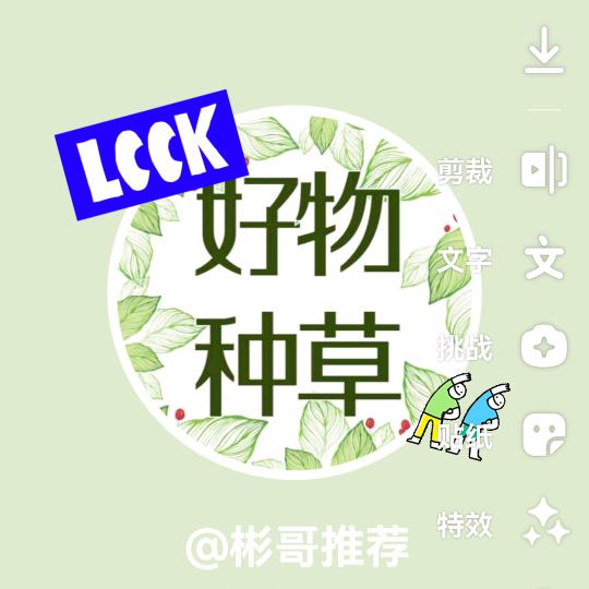 彬哥推荐
