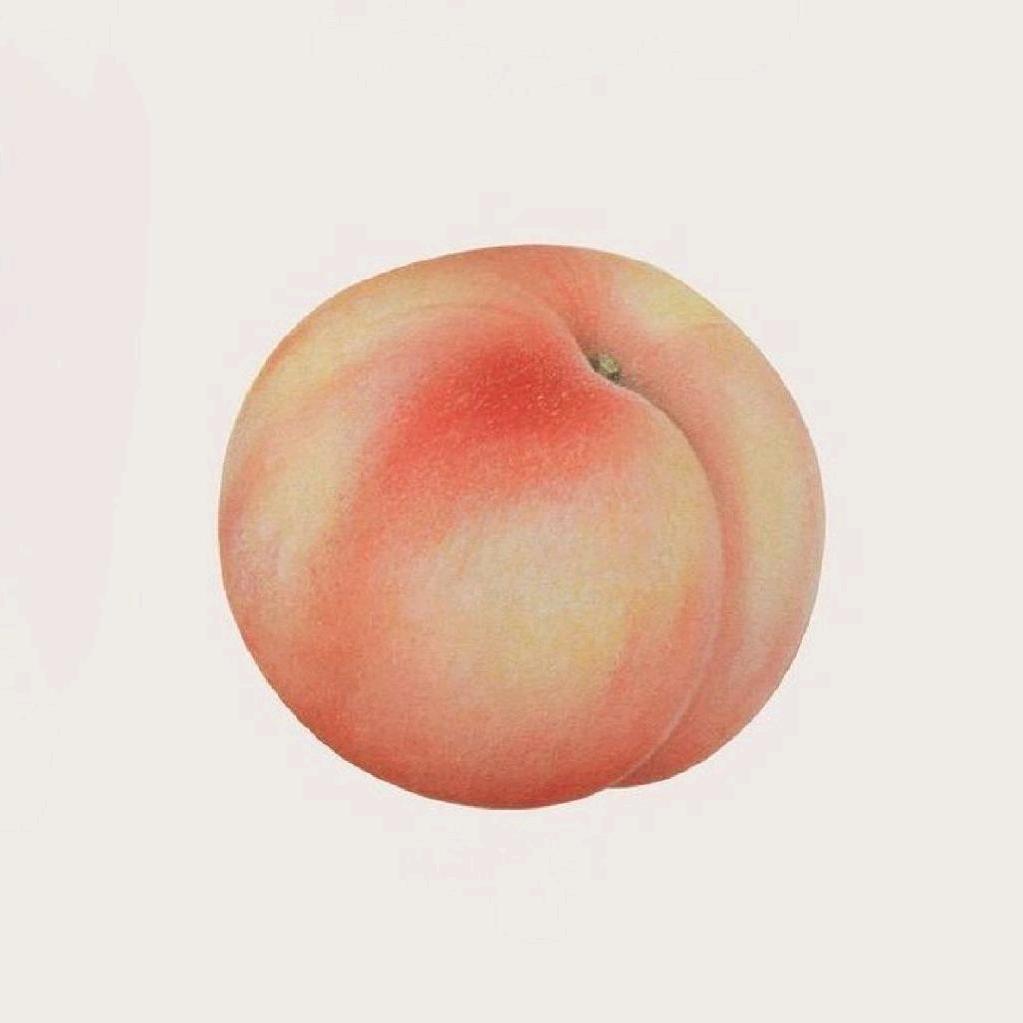 是有颜YAN