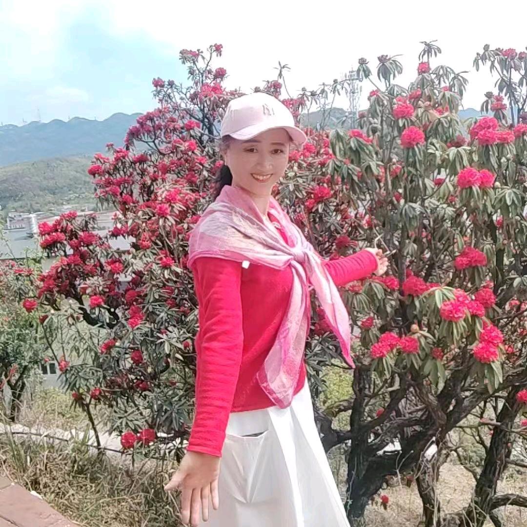 冬天红梅