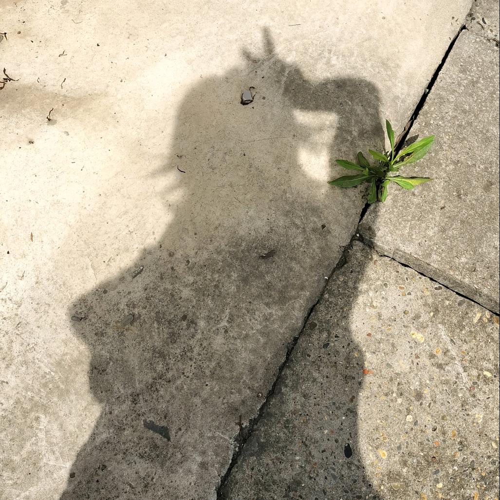 小十怡