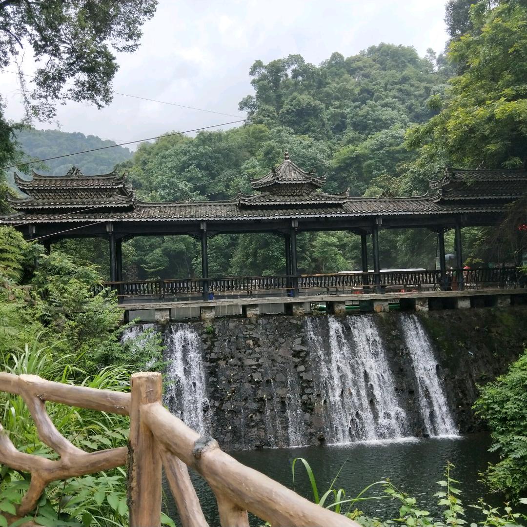 周周有钱收🐦