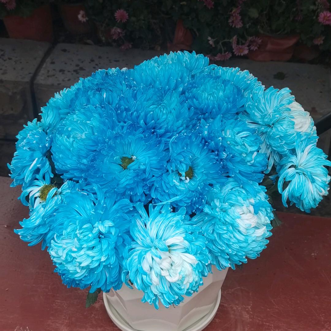 明天你好