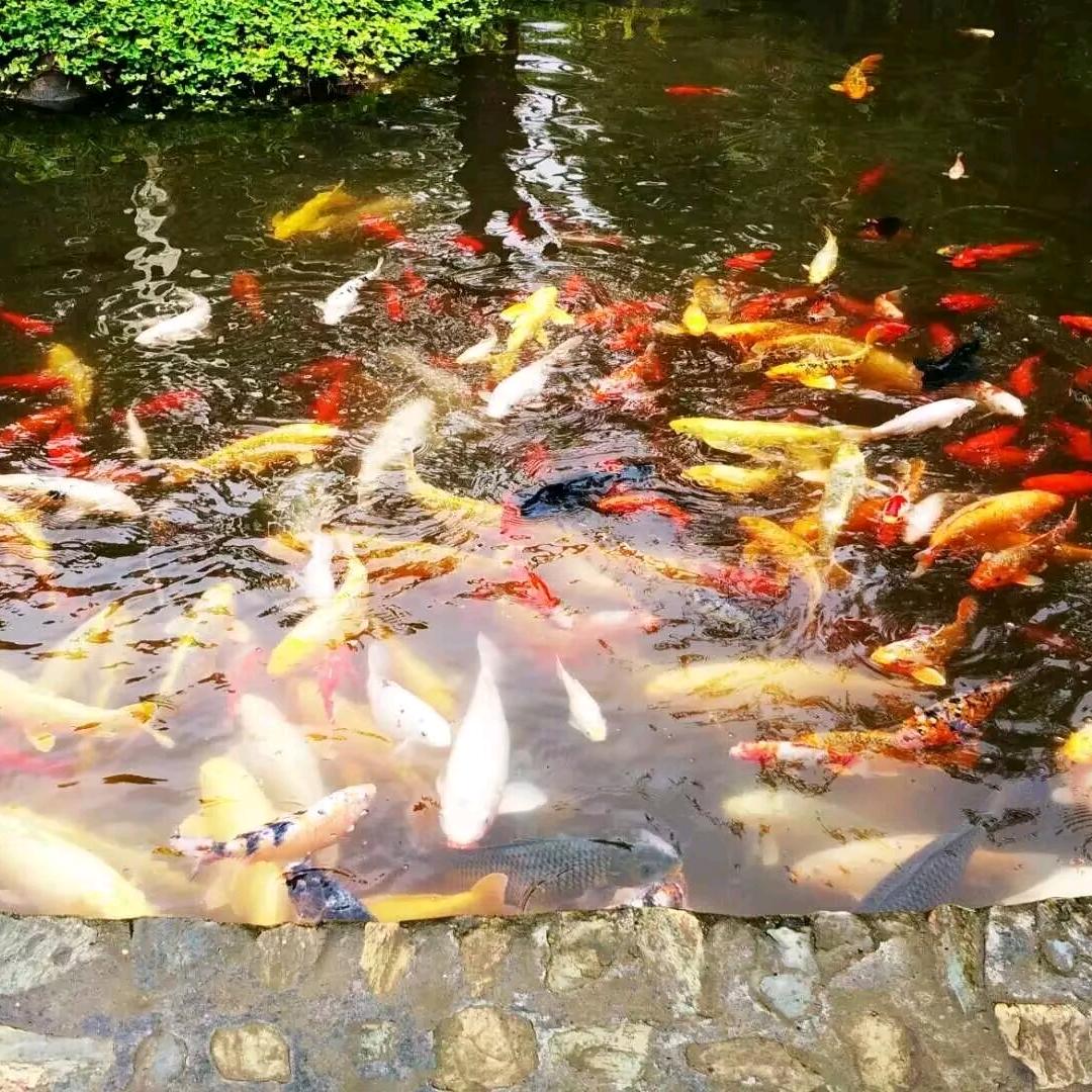 往事如烟www.