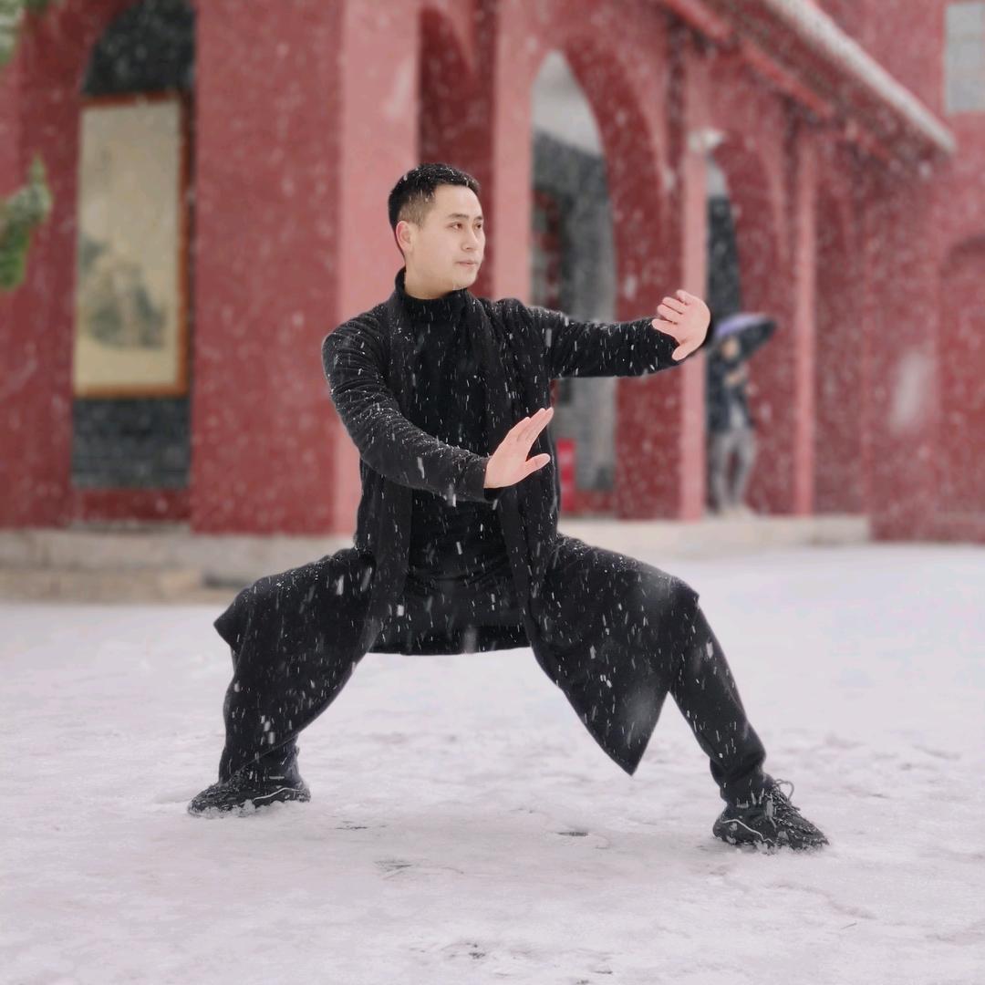 功夫仁八段锦小号