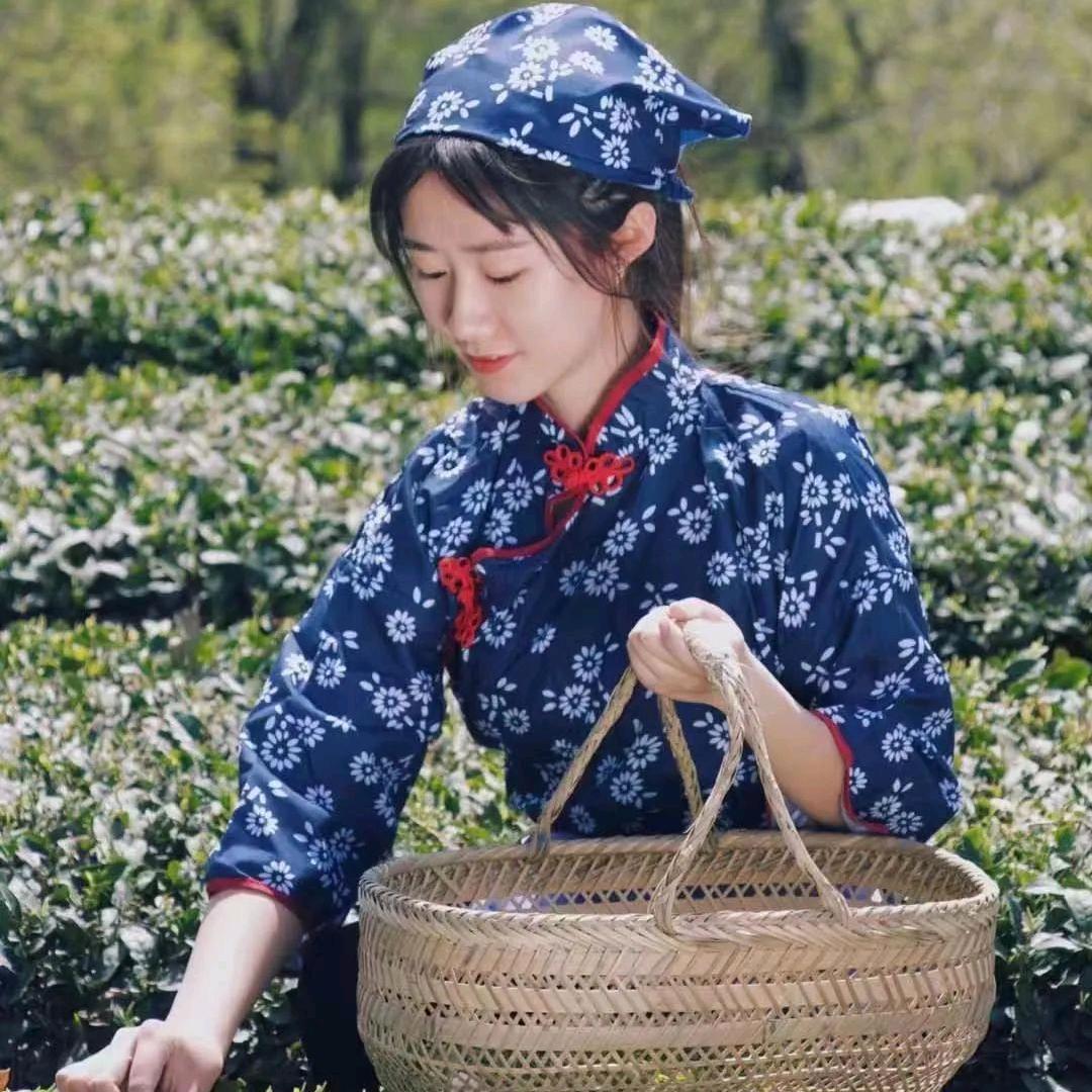 @日照绿茶