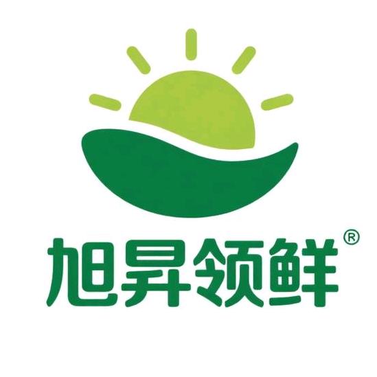 旭昇领鲜