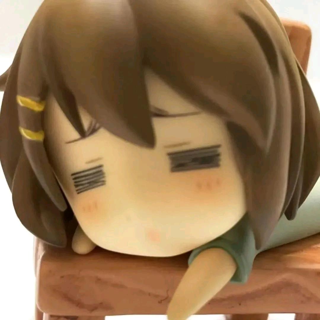 程序小貓