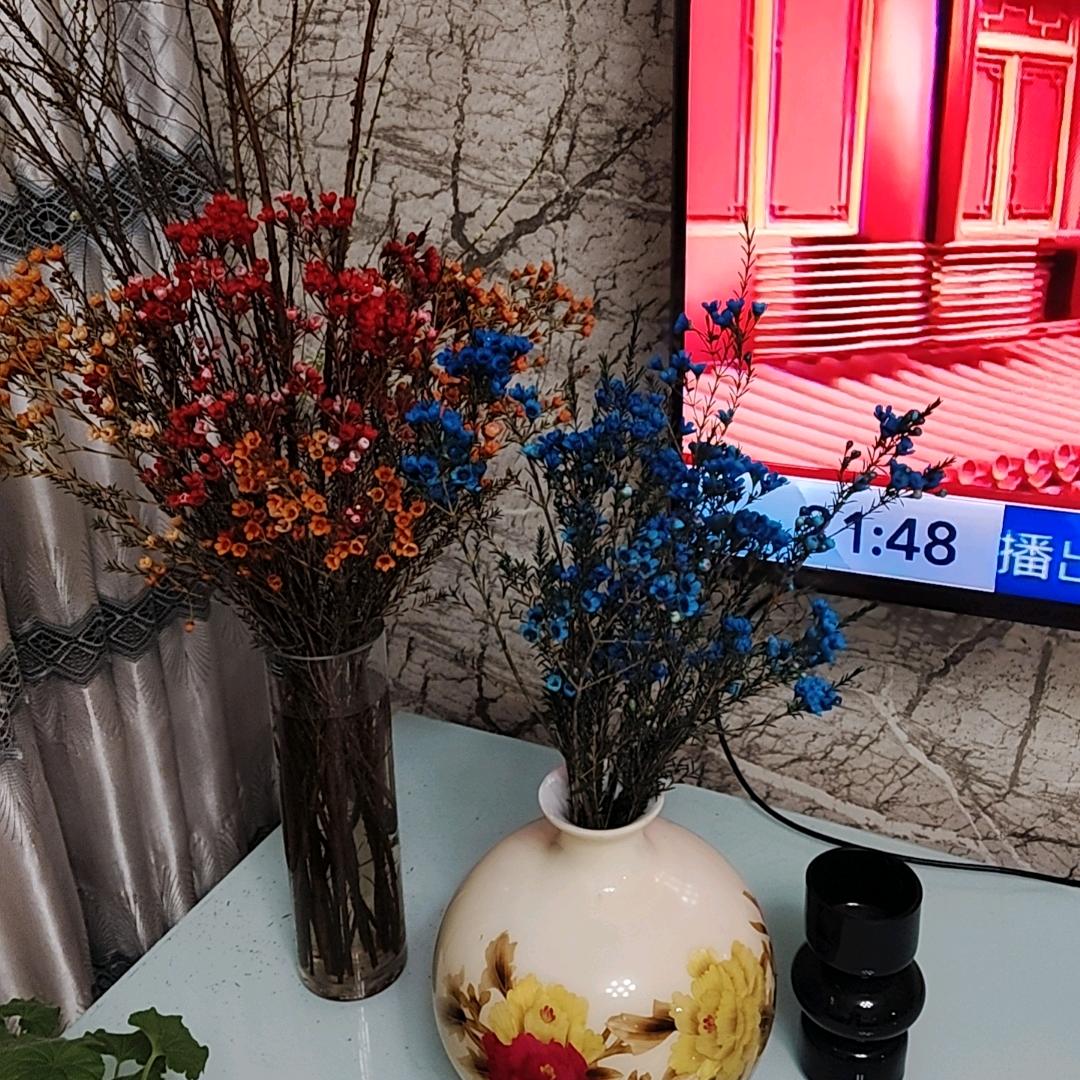 吉铭四缸800直播间