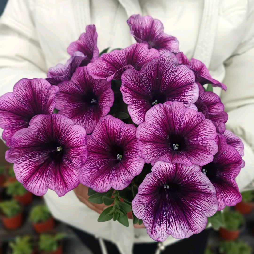 繁花小筑