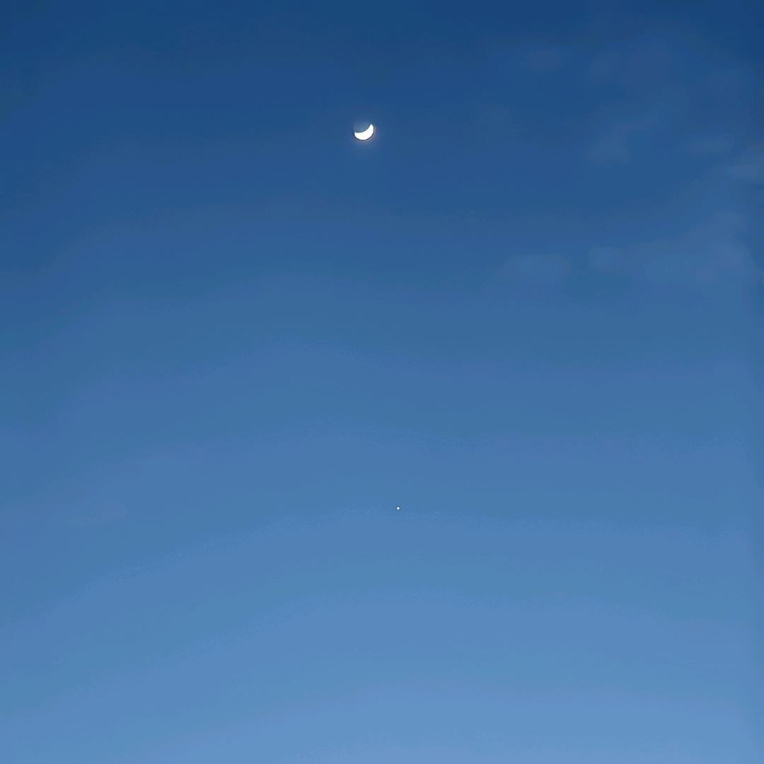 白斯文 SAMA