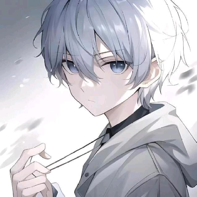 杰米GEmini