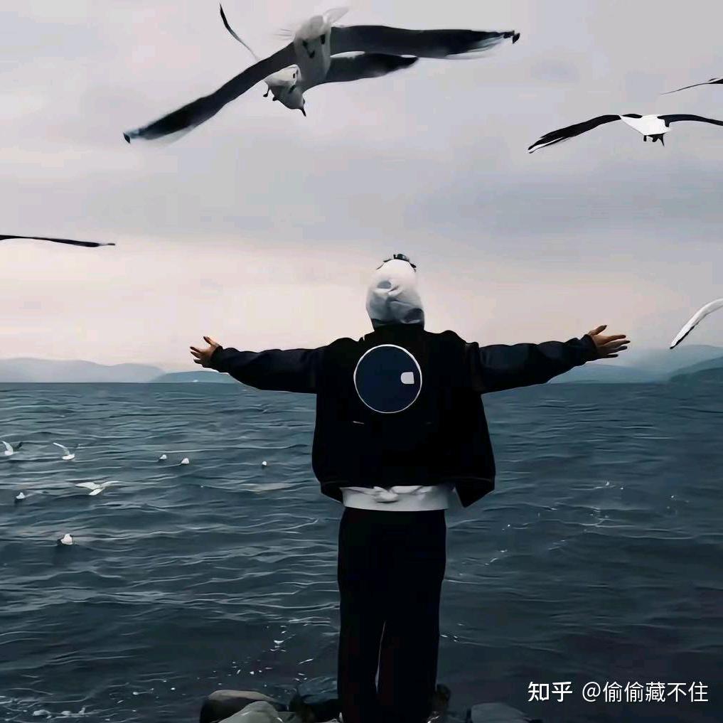 维德