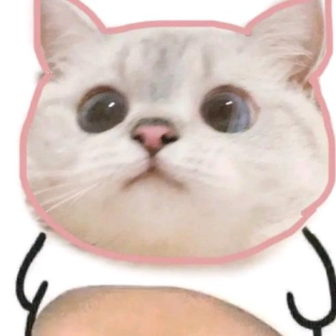 吃吃喝喝