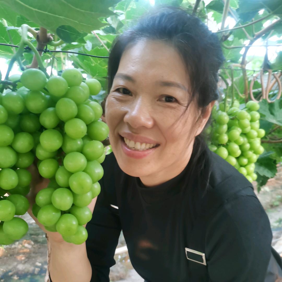 农村小七奶奶(温暖暖）