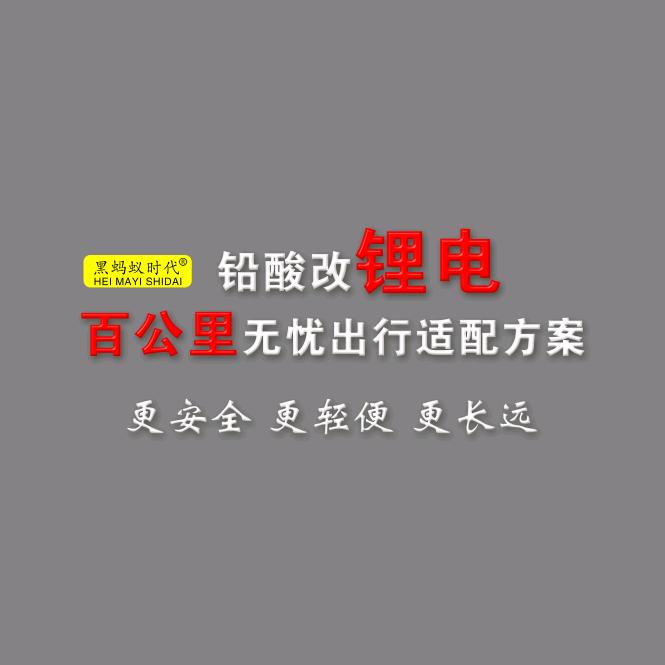 黑蚂蚁锂电池直营店